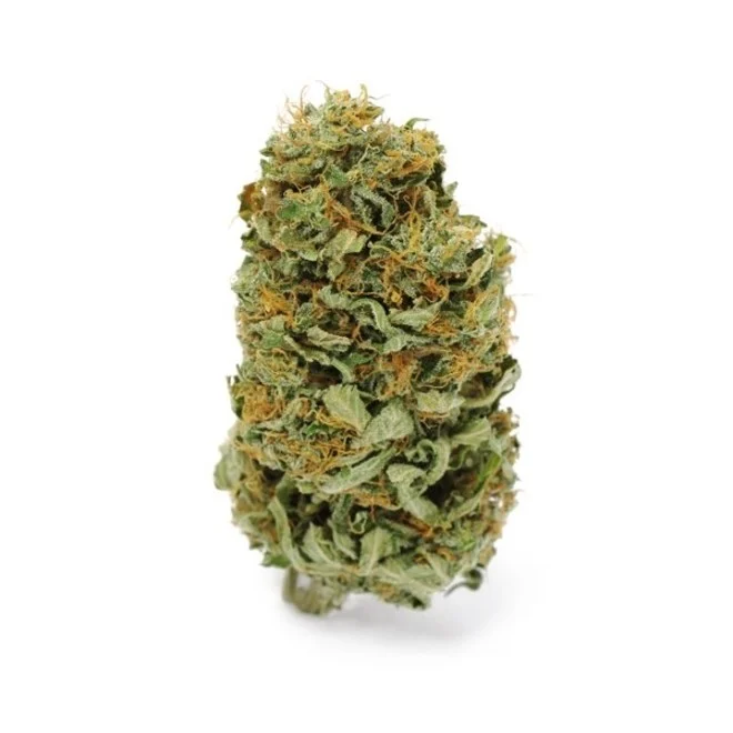 Close-up of Amnesia Haze cannabis flower available in Fuengirola cannabis clubs