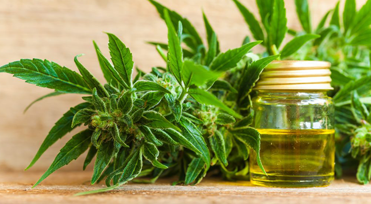 Cannabis clubs in Fuengirola Cannabis clubs in Fuengirola – local photo from Weed Shops Fuengirola