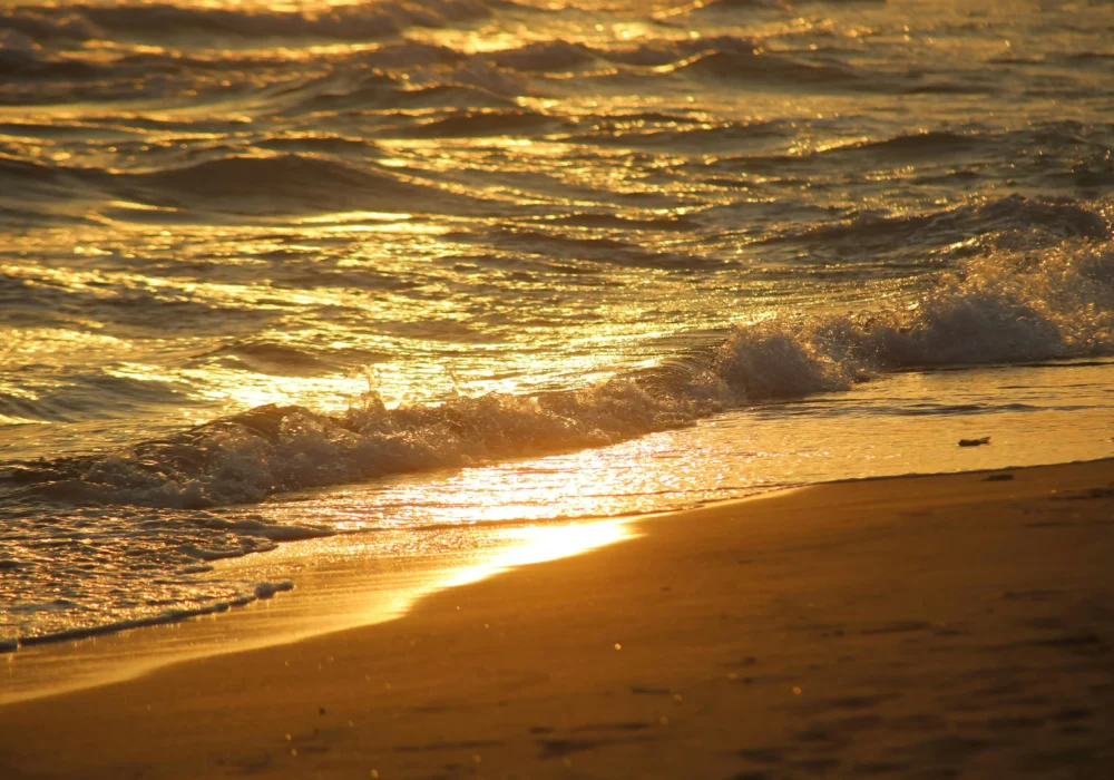 A Local’s Guide to Etiquette and Legal Considerations in Fuengirola’s Cannabis Social Clubs