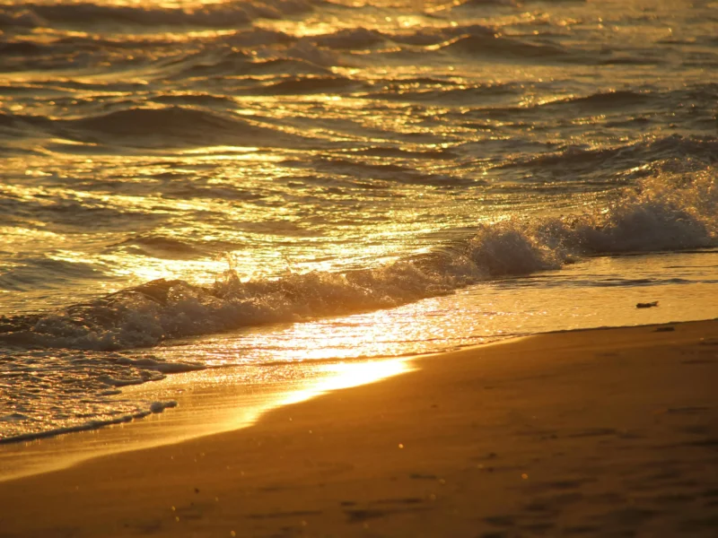 A Local’s Guide to Etiquette and Legal Considerations in Fuengirola’s Cannabis Social Clubs