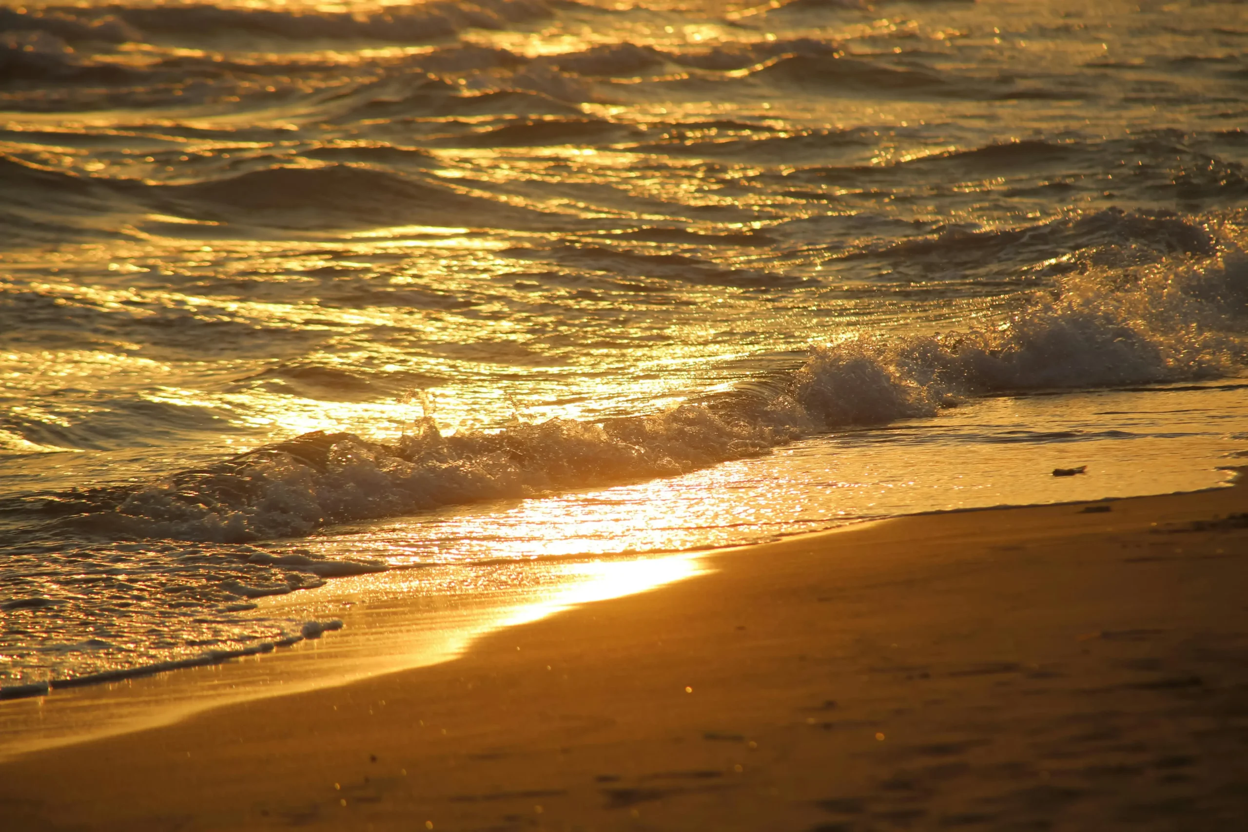 A Local’s Guide to Etiquette and Legal Considerations in Fuengirola’s Cannabis Social Clubs